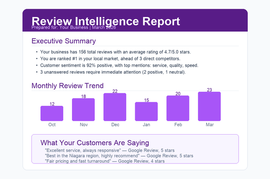 Professional review intelligence report with executive summary, monthly trends, and customer quotes