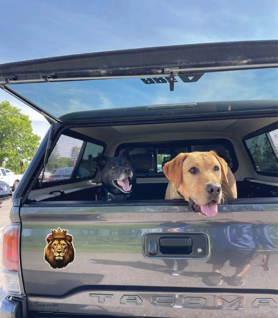 Image of Crowned Lion Reflective Vinyl Decal - Waterproof Car Sticker