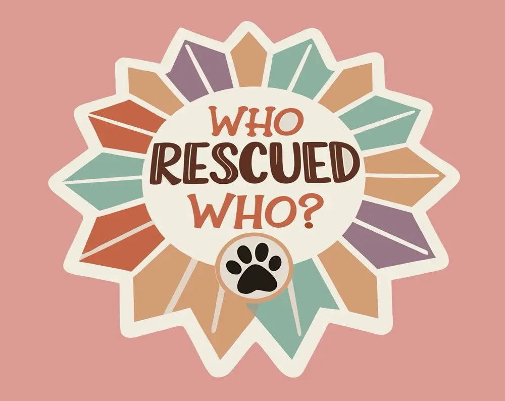 A dog wearing a collar and leash, standing in front of a sticker with the words 'Who Rescued Who? Dog Rescue' on it.